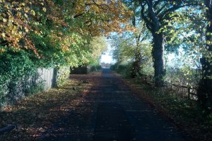 Autumn Lane