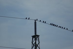 Three feet from danger