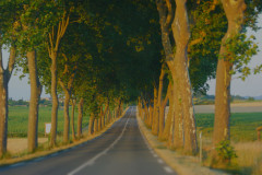 A long rural road in France
