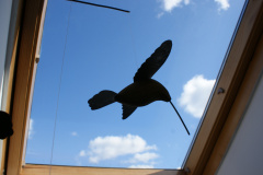 A silouette of a wooden humming bird mobile in my wife's office