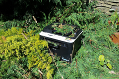 An old discarded printer, covered in tree clippings