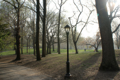 A park