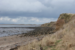 A windswept northern beach
