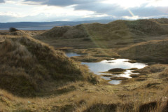 The sand dunes of Lindisfarne