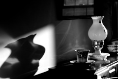 Shadows cast by a storm lantern